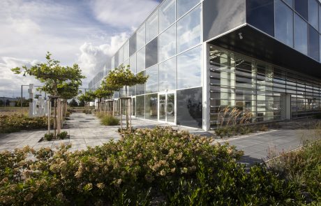 Modern office building architecture with a large glass facade and integrated green area with a sidewalk and young trees.