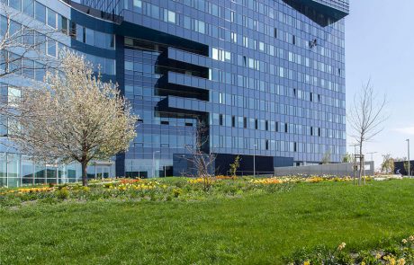 Moderne Bürogebäude-Außenansicht mit reflektierender Glasfassade, umgeben von einer blühenden Grünanlage im Vordergrund.